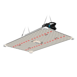 200w01-1080x-png