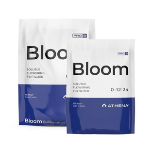 Athena-Pro-Line-Bloom-5