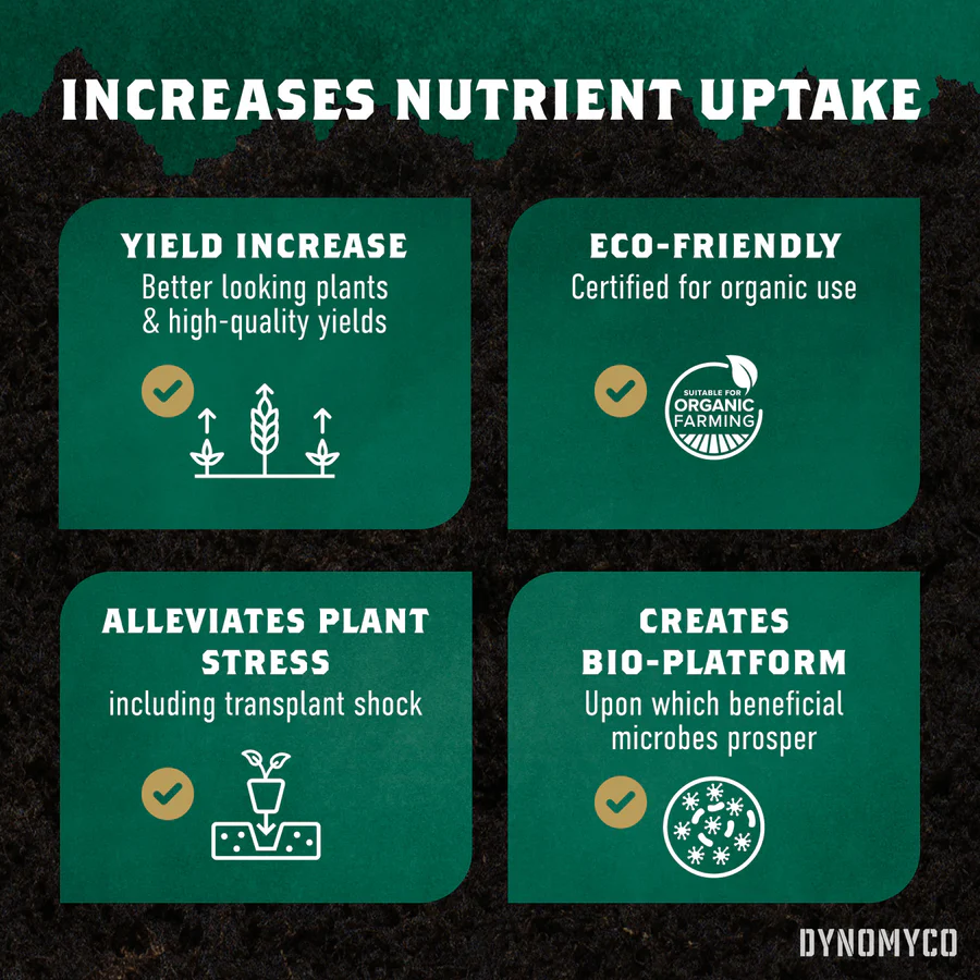 Dynomyco-Nutrient-uptake-2