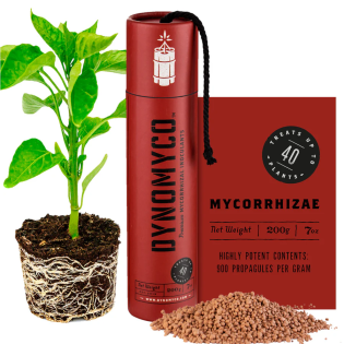 Dynomyco-Stick-200g