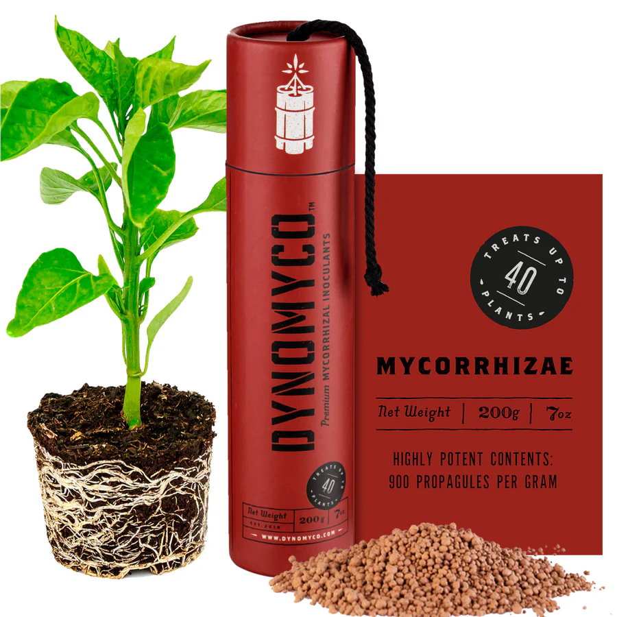 Dynomyco-Stick-200g