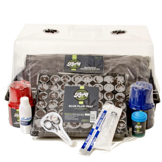 kushy-propagation-kit