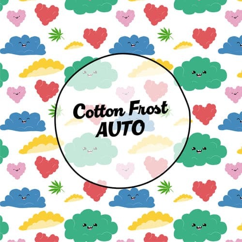 1753471144-cotton-frost-auto
