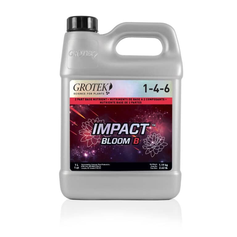 Impact-Bloom-B