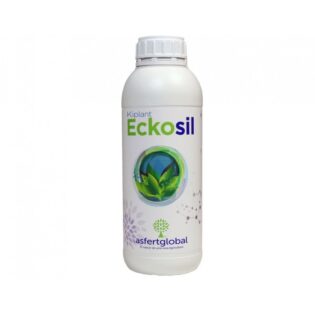 eckosil-1l