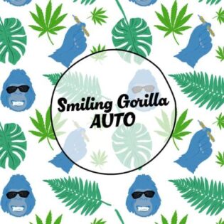 1753473063-smiling-gorilla-auto