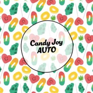 Smiley-Seeds-Autoflower-Candy-Joy