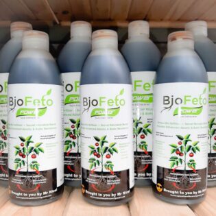 BioFetoPower-Bio-Fertilizer-and-Microbial-Blend--2